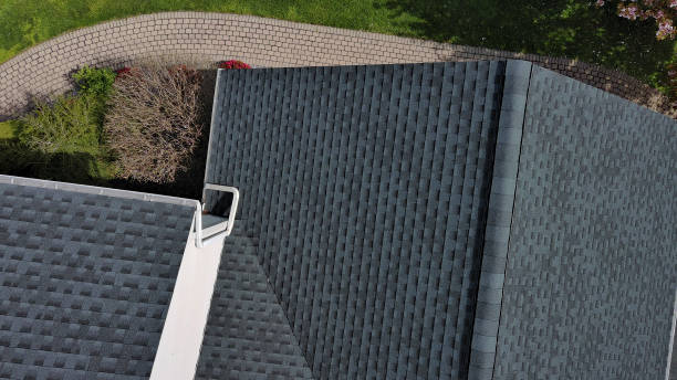 Best Roof Moss and Algae Removal  in Highland Lakes, AL